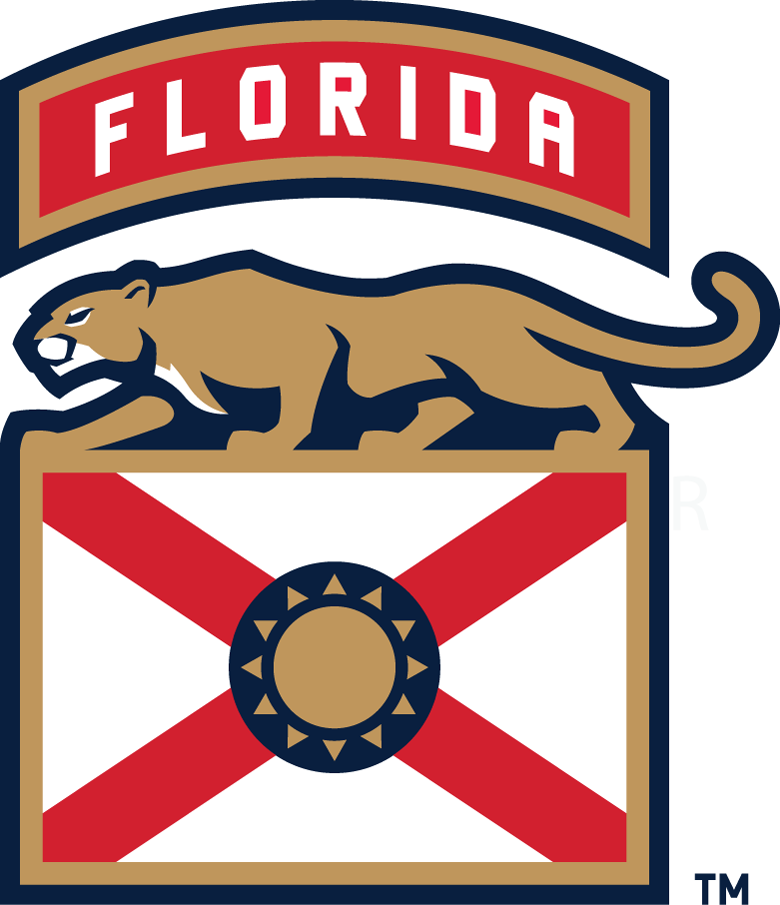 Florida Panthers 2016-Pres Alternate Logo t shirts iron on transfers v3